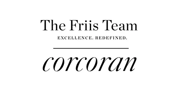 The Friss Team Sponsor Logo